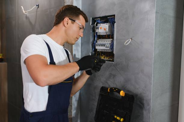 Best Electric Panel Repair  in Red Lick, TX